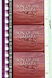 Profilový obrázek - Son of the Sahara