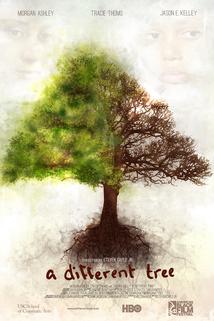 Profilový obrázek - A Different Tree