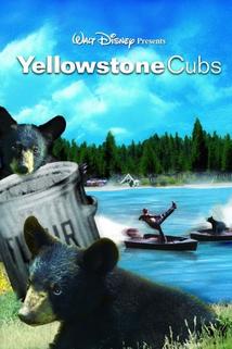 Profilový obrázek - Yellowstone Cubs