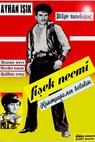 Fisek Necmi (1965)