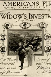 Profilový obrázek - The Widow's Investment