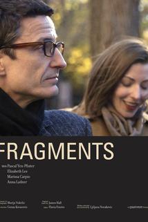 Profilový obrázek - Fragments