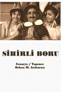 Profilový obrázek - Sihirli boru