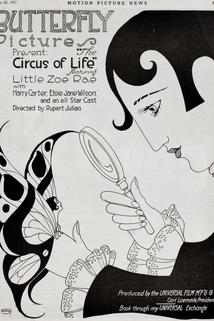 Profilový obrázek - The Circus of Life