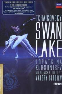 Profilový obrázek - Swan Lake