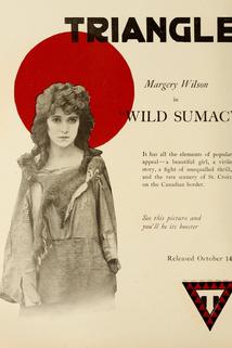 Profilový obrázek - Wild Sumac