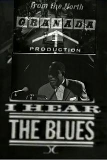 Profilový obrázek - I Hear the Blues