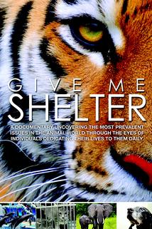 Profilový obrázek - Give Me Shelter