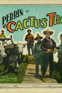 Profilový obrázek - Cactus Trails