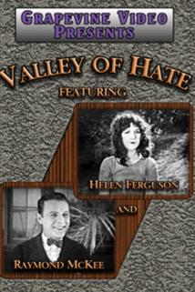 Profilový obrázek - Valley of Hate