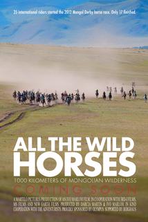 Profilový obrázek - All the Wild Horses