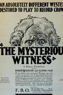 Profilový obrázek - The Mysterious Witness