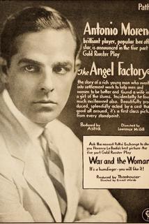 Profilový obrázek - The Angel Factory