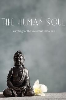 Profilový obrázek - The Human Soul