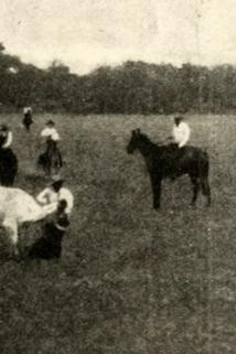 Profilový obrázek - The 'Diamond S' Ranch
