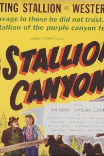 Profilový obrázek - Stallion Canyon