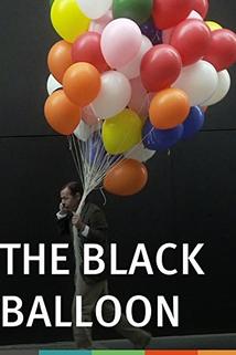 Profilový obrázek - The Black Balloon