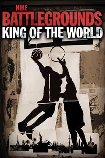 Profilový obrázek - Battlegrounds: King of the World