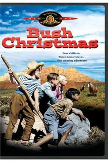 Profilový obrázek - Bush Christmas