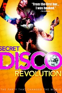 Profilový obrázek - The Secret Disco Revolution