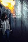 Crack in Everything, A (2013)