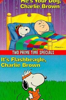 Profilový obrázek - He's Your Dog, Charlie Brown