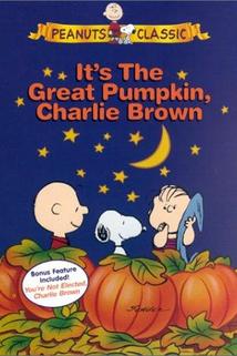 Profilový obrázek - It's the Great Pumpkin, Charlie Brown