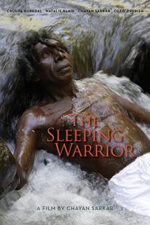 Profilový obrázek - The Sleeping Warrior
