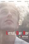 Little Gay Boy 